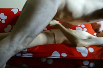 Live ABG Bispak Hotel Bintang Lima Menggoda Lagi